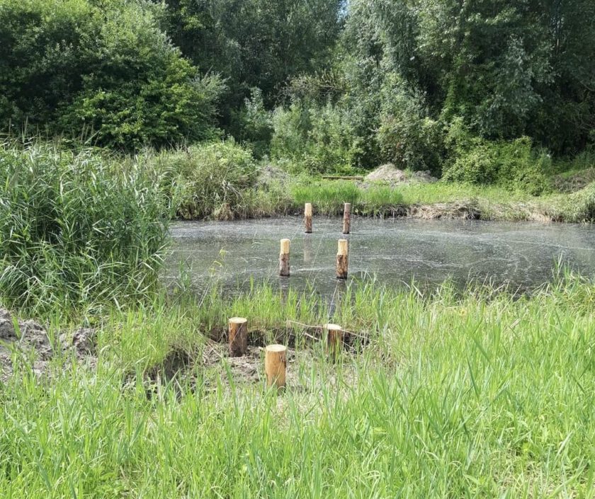 Brug naar Oeverbos Nesselande