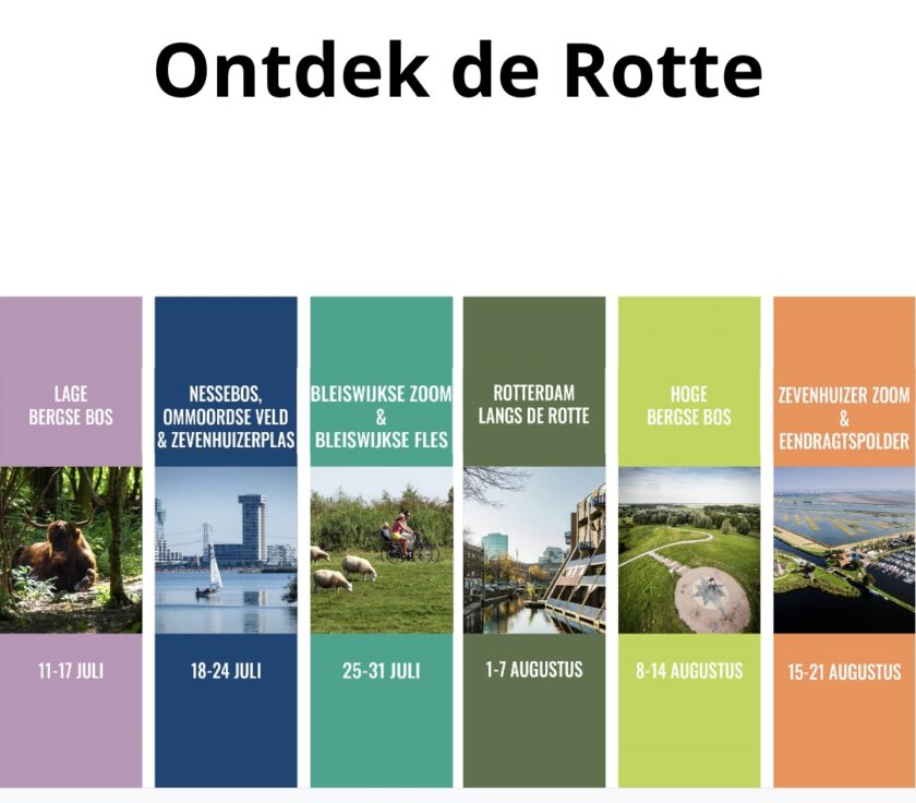 Ontdek de Rotte deze zomer