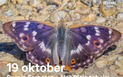 Herfstvakantie-tip: natuurfilms en ontdekkingstocht voor kinderen in Nesselande